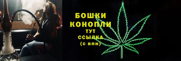 мескалин Богданович