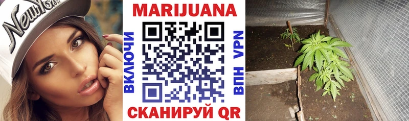 цены наркотик  Петровск-Забайкальский  ОМГ ОМГ ссылка  Бошки марихуана AK-47 